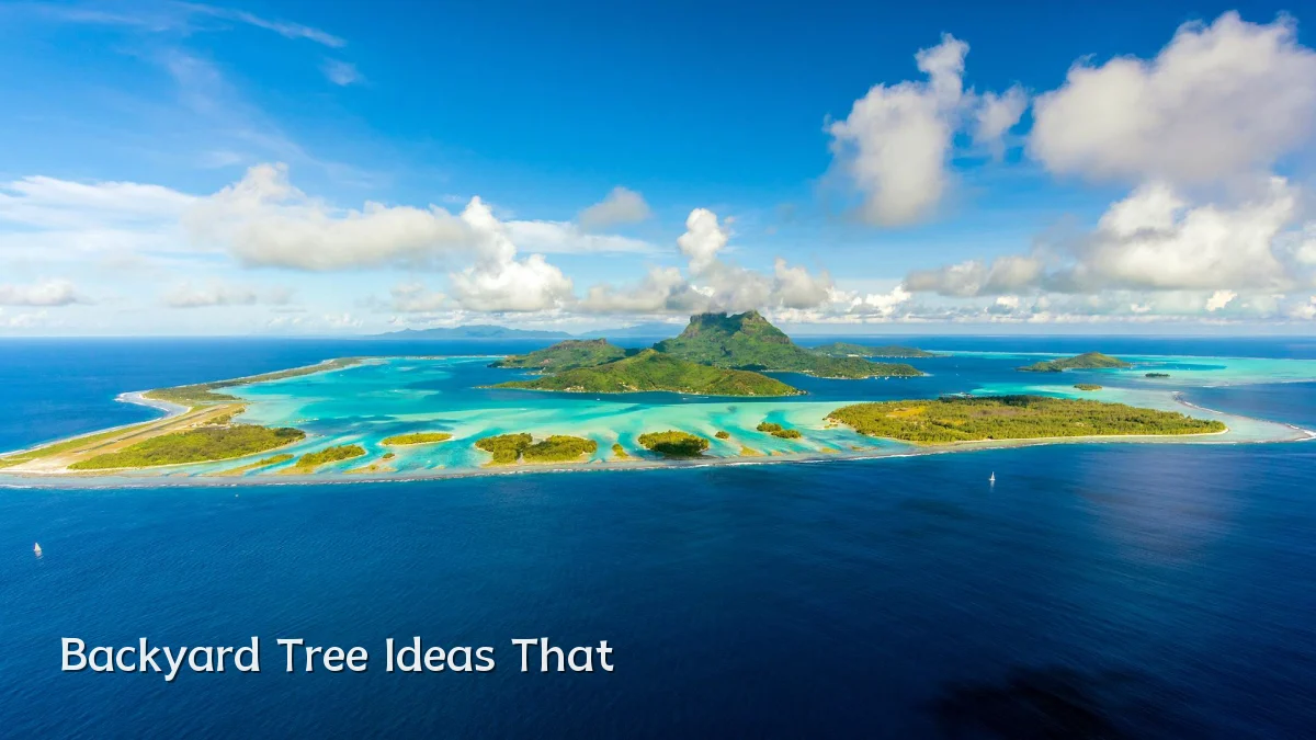 Backyard Tree Ideas That
