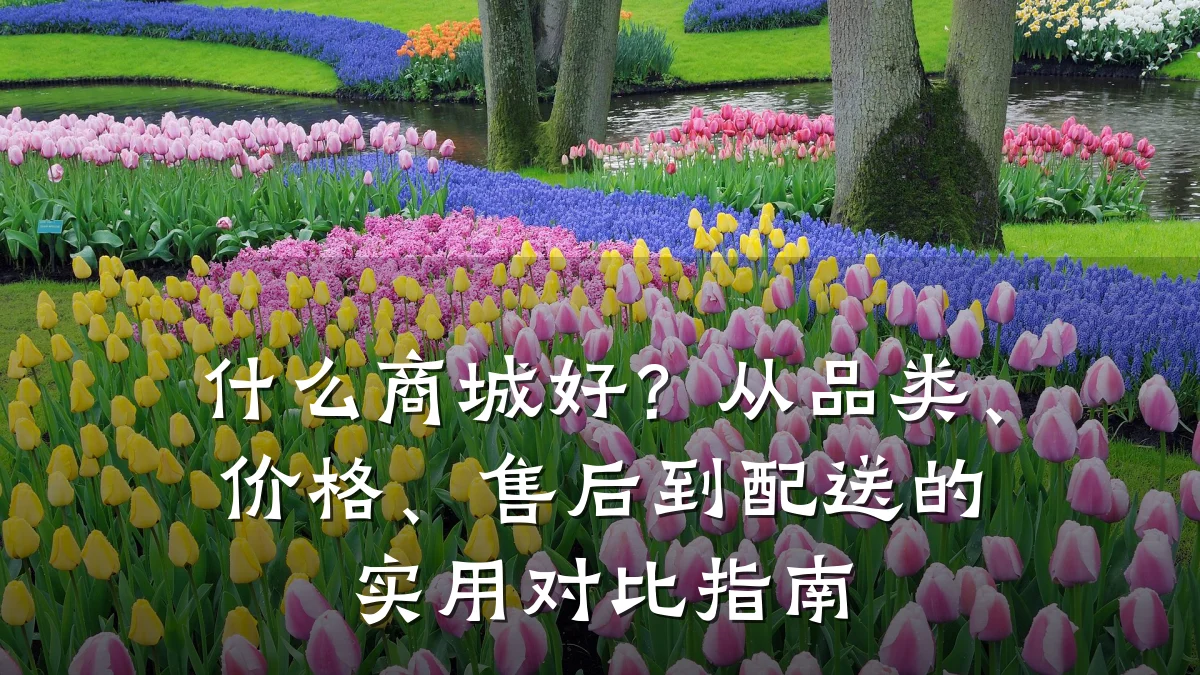 什么商城好？从品类、价格、售后到配送的实用对比指南