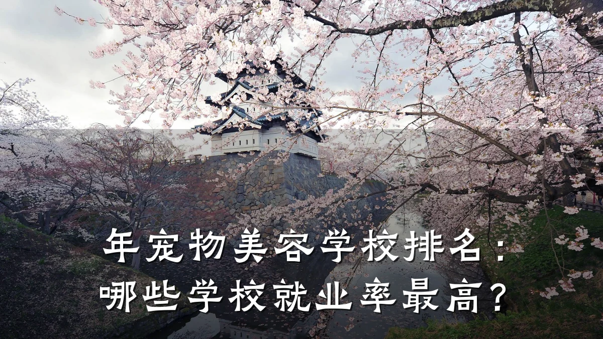 年宠物美容学校排名:哪些学校就业率最高?
