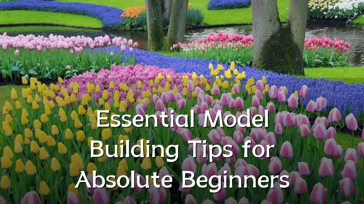 Essential Model Building Tips for Absolute Beginners