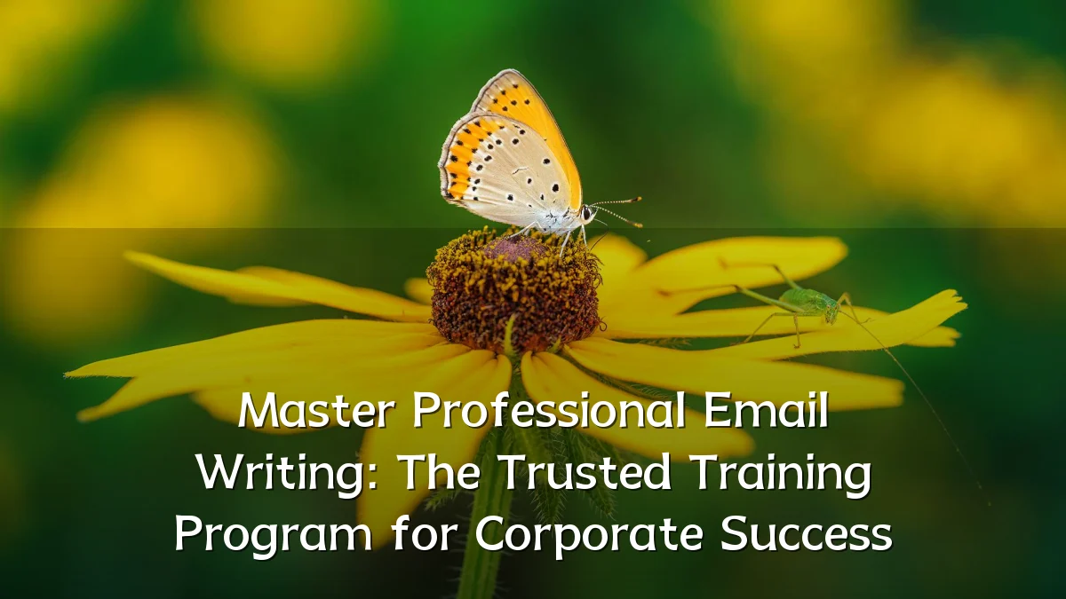 Master Professional Email Writing: The Trusted Training Program for Corporate Success