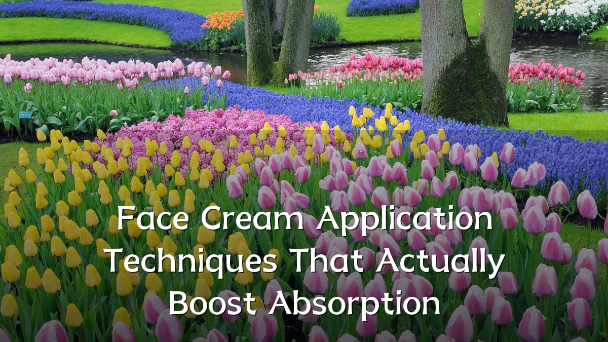 Face Cream Application Techniques That Actually Boost Absorption