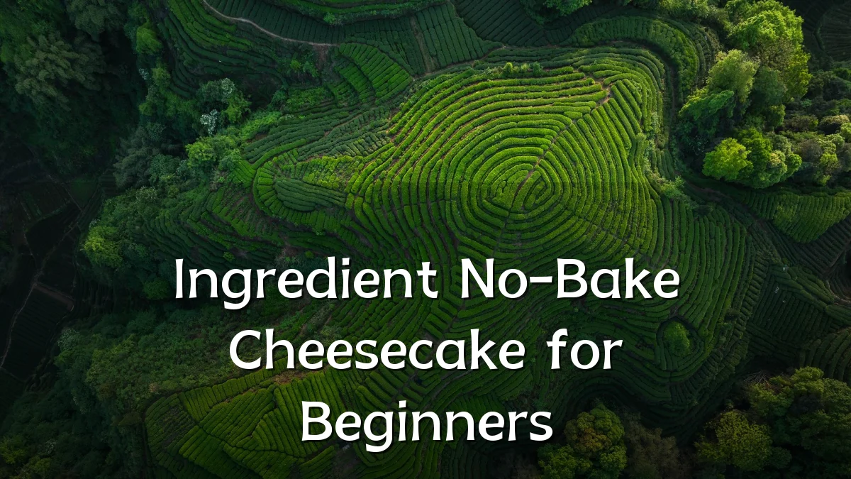 Ingredient No-Bake Cheesecake for Beginners