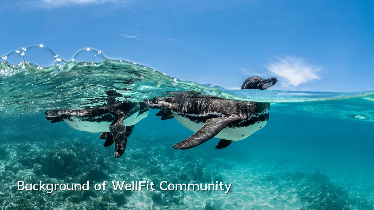 Background of WellFit Community