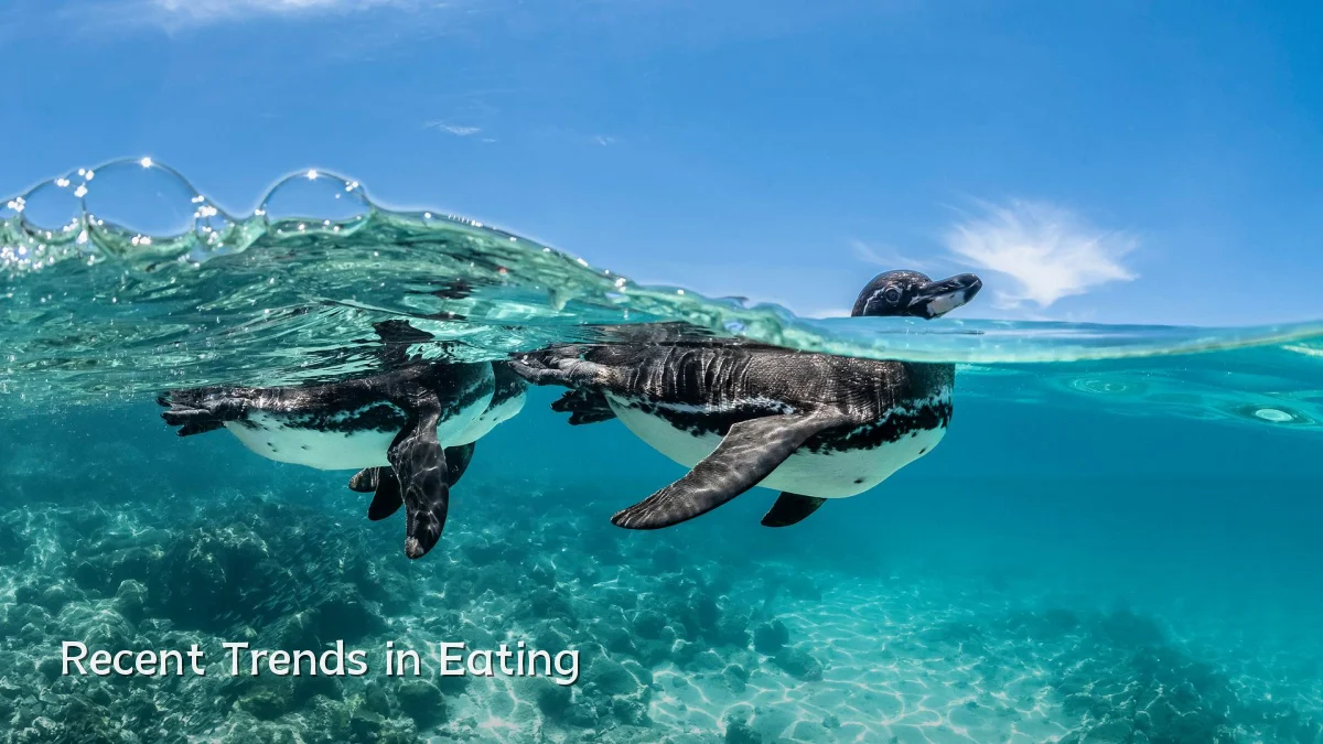 Recent Trends in Eating