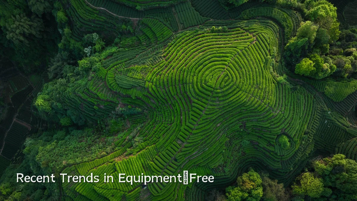 Recent Trends in Equipment‑Free