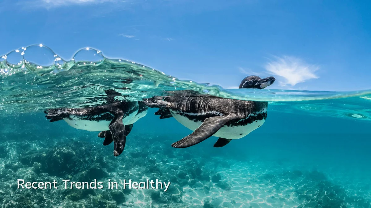 Recent Trends in Healthy