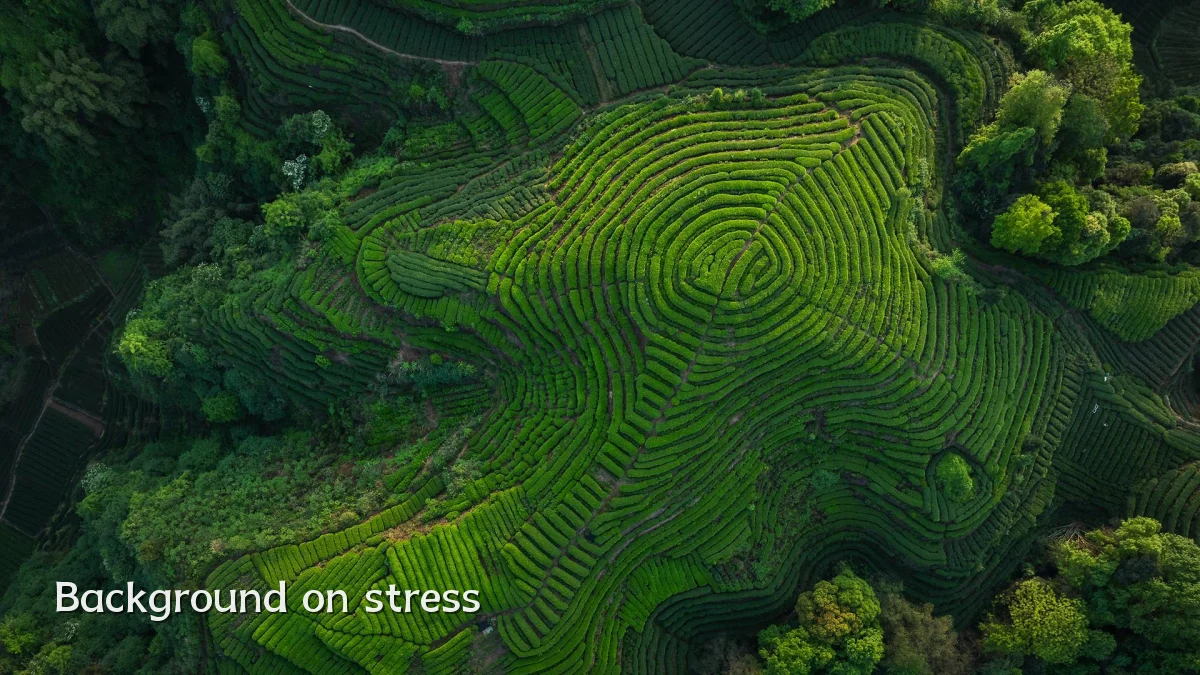 Background on stress