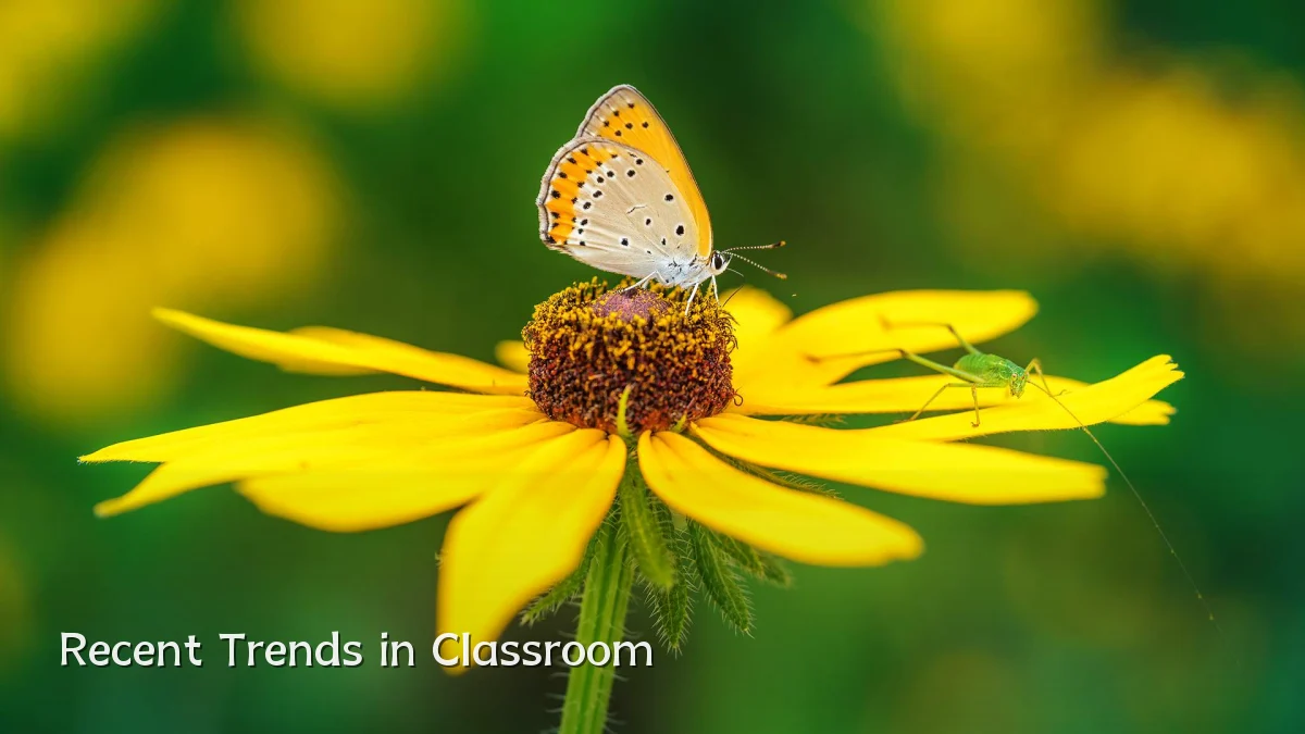 Recent Trends in Classroom