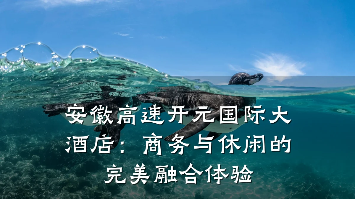 安徽高速开元国际大酒店:商务与休闲的完美融合体验