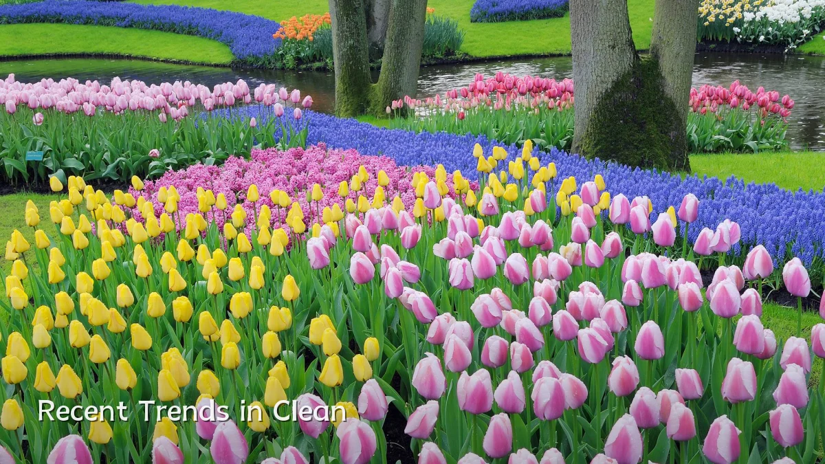 Recent Trends in Clean