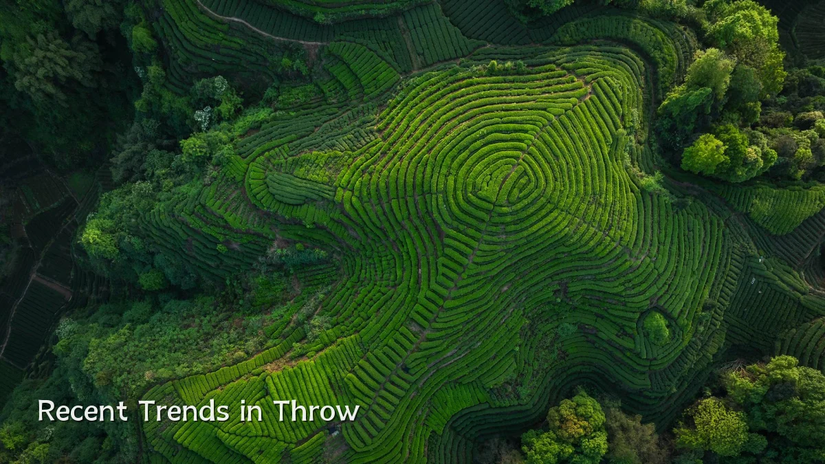 Recent Trends in Throw