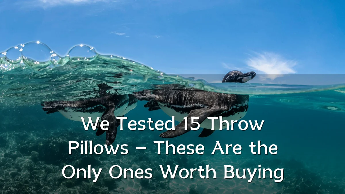 We Tested 15 Throw Pillows – These Are the Only Ones Worth Buying